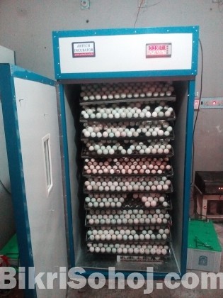 Automatic Egg incubator /ডিম থেকে বাচচা ফোটানোর মেশিন।